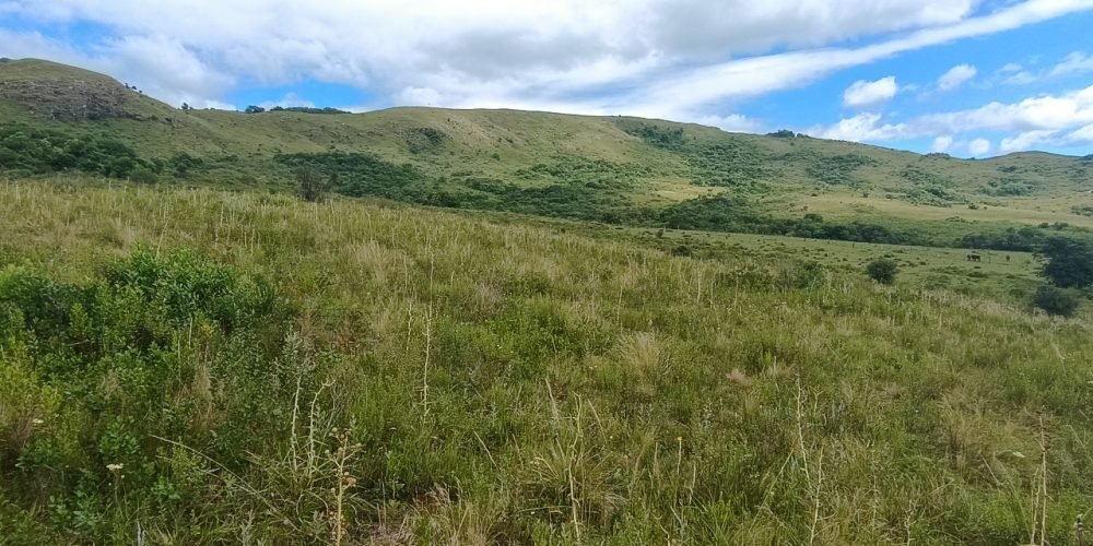 Imagem do WhatsApp de 2025-02-19 à(s) 11.18.24_0867ffed