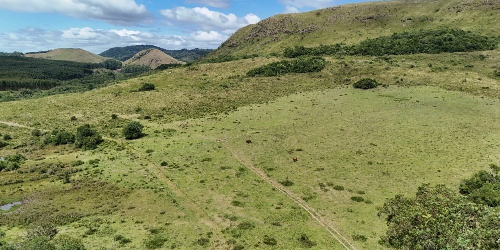 Imagem do WhatsApp de 2025-02-19 à(s) 11.18.24_bd4a2868